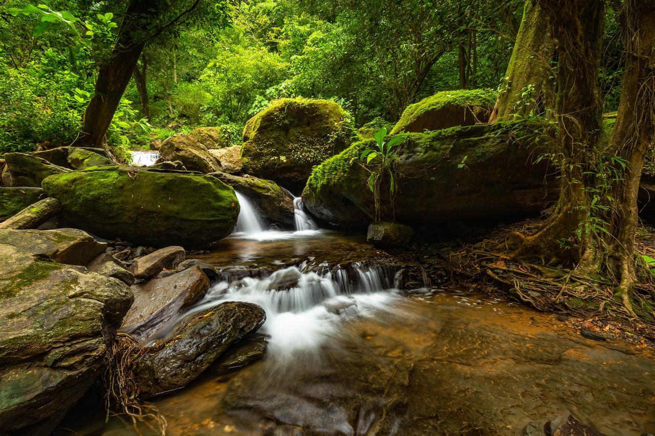 Cascada Elysiana Villa Platanillo Dış mekan fotoğraf