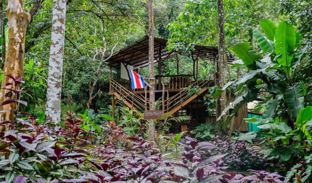 Cascada Elysiana Villa Platanillo Dış mekan fotoğraf